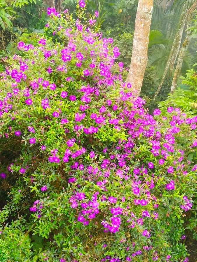 Spring And Valley View 提喀迪 外观 照片